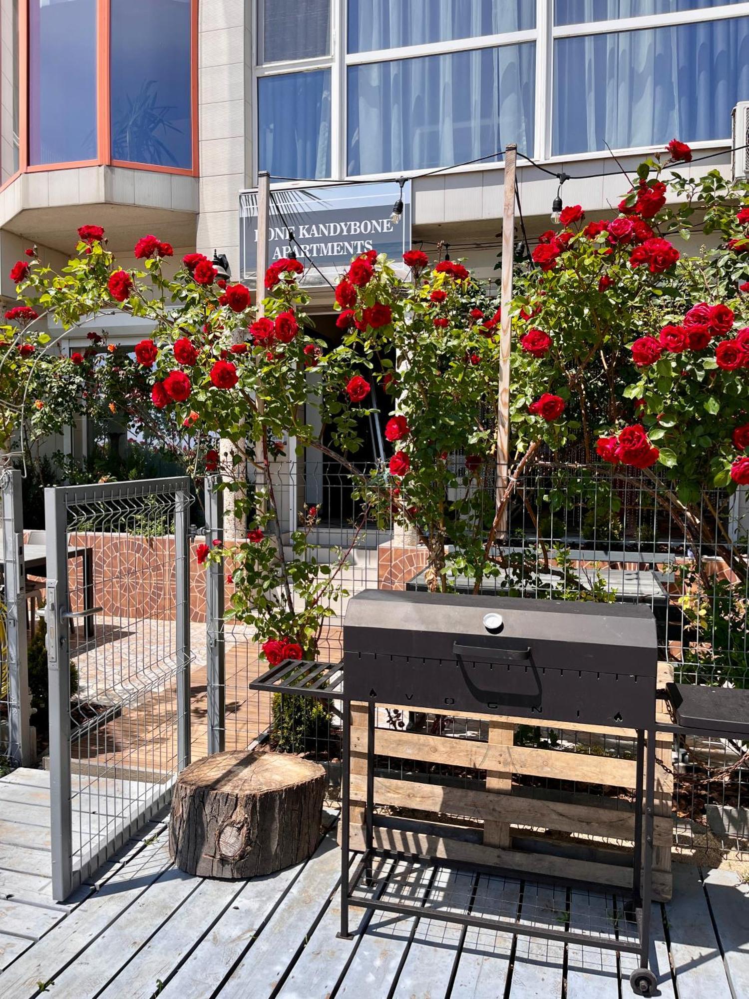 Done Kandybone Apartments Burlach'ya Balka エクステリア 写真